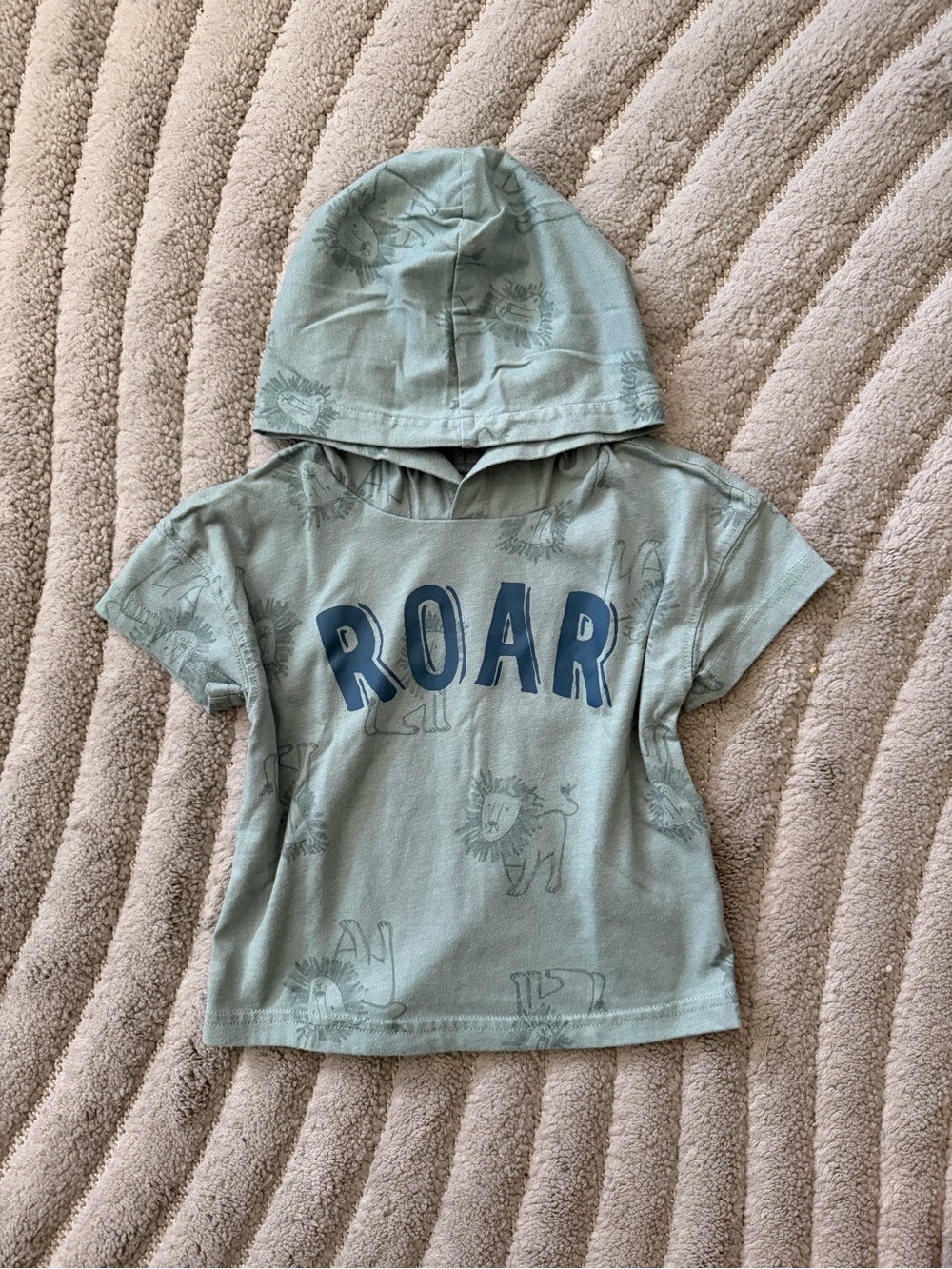 Carter's Sage Green Lion Hoodie - 18M
